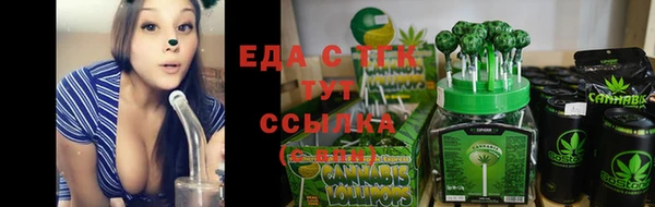гидра Новодвинск