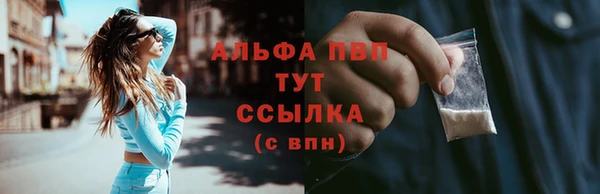 крисы Новокубанск
