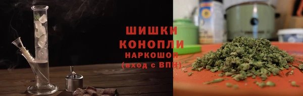 spice Новозыбков