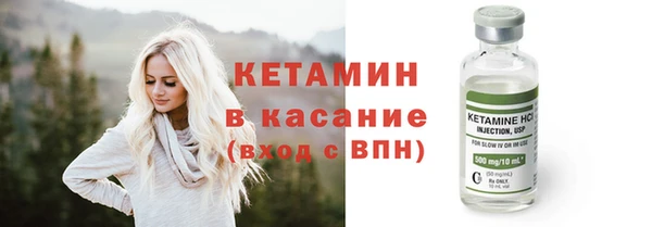 гидра Новодвинск