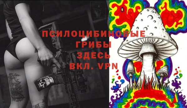 spice Новозыбков