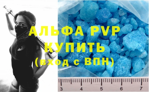 гидра Новодвинск