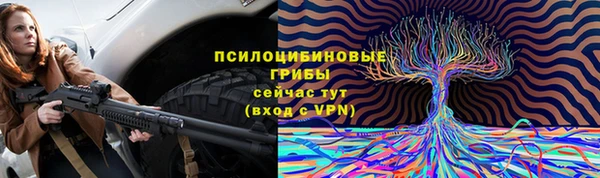 spice Новозыбков