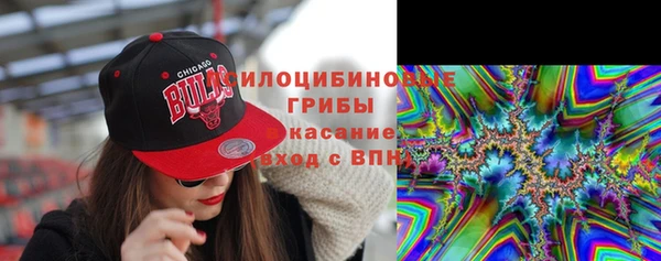 spice Новозыбков