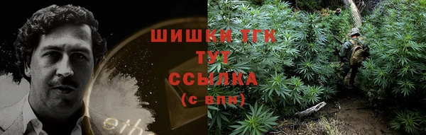 spice Новозыбков
