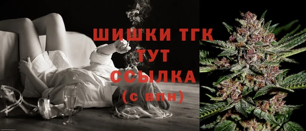 гидра Новодвинск