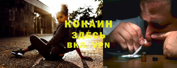 крисы Новокубанск