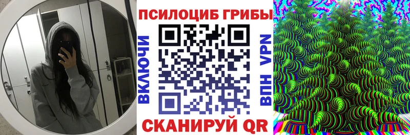 закладки  Покачи  Псилоцибиновые грибы мицелий 