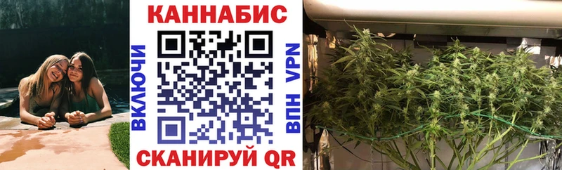 Конопля план  Покачи 